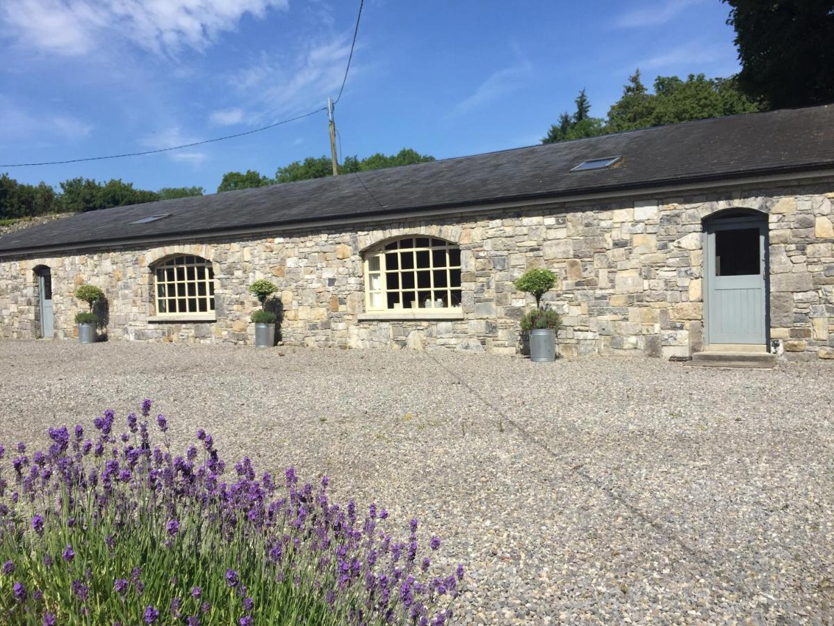 Clonalis House - Guesthouse Castlerea Exteriör bild